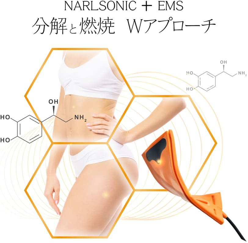 NARLSONIC+EMSで分解と燃焼のWアプローチ